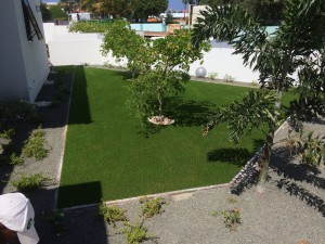 IMG 0545