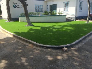 IMG 0658