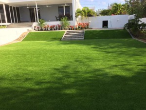 IMG 0739