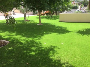 IMG 0896